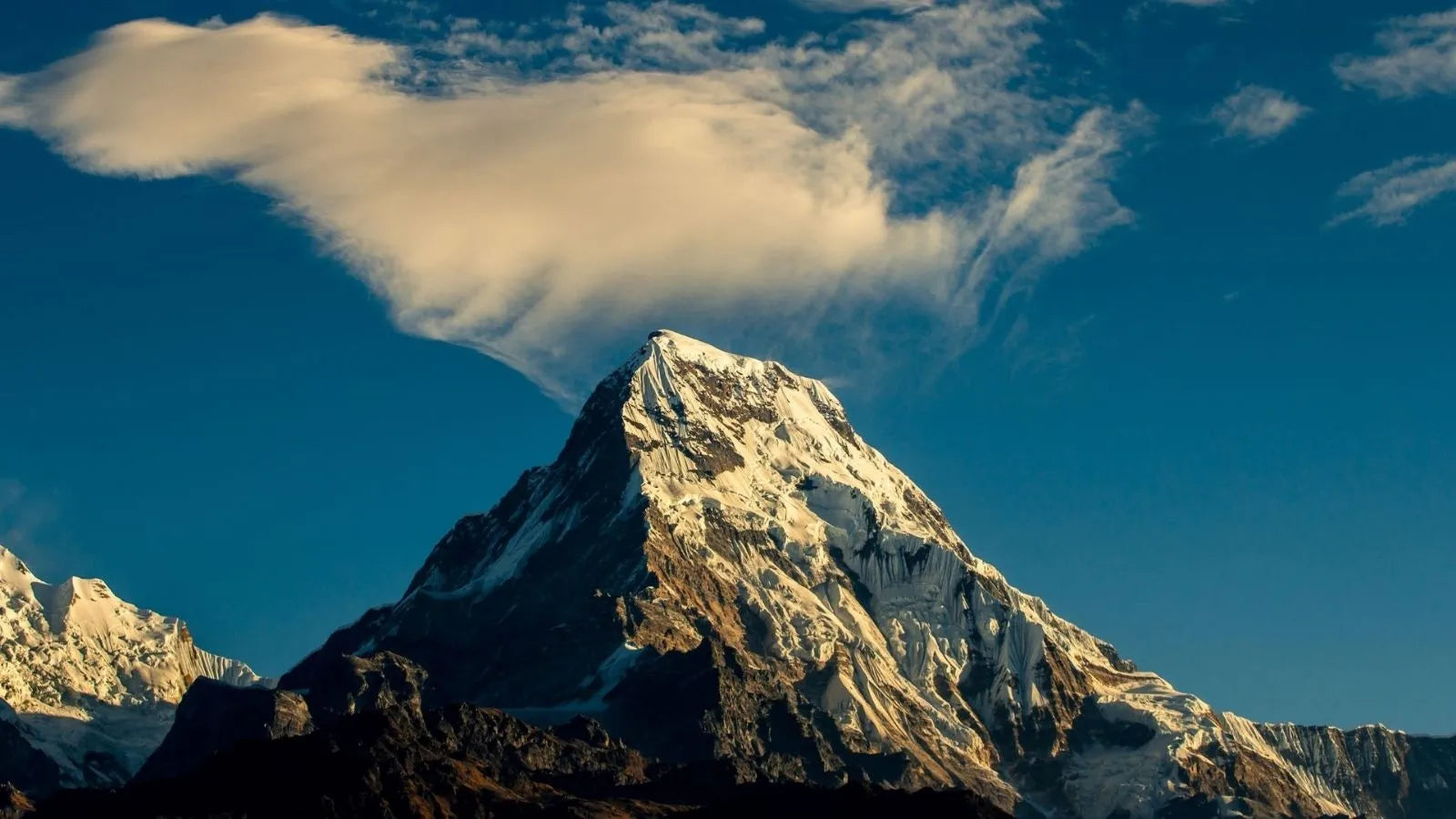 The Best Tesla Model Y Mattress for Camping in 2026