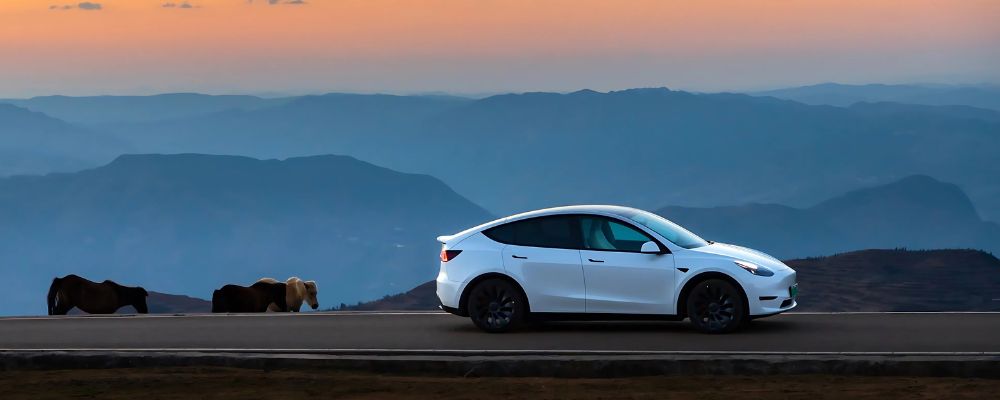 Tesla Model Y Camping Accessories